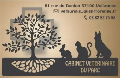 Julien Aurélie Veterinary Office