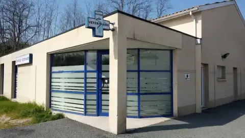 Veterinary clinic Haut Brion