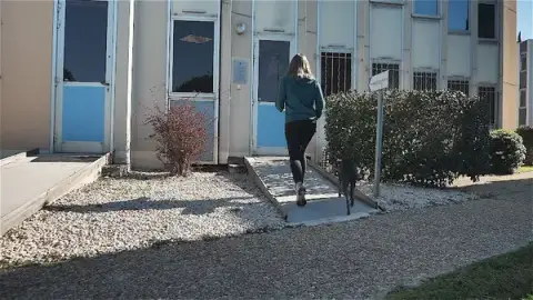 Veterinary Clinic Southern Cape