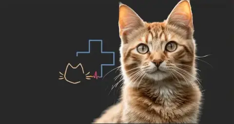 La Clinique Féline de la Cartoucherie (vétérinaires pour chats)