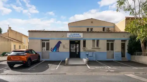 CLINIQUE VETERINAIRE DOMITIA