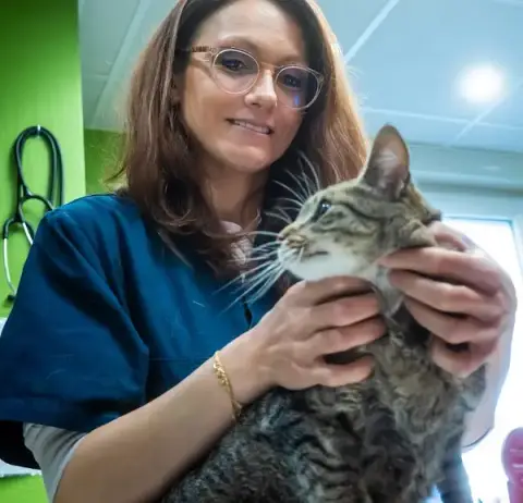 Veterinary Clinic Dr. Lecuyer
