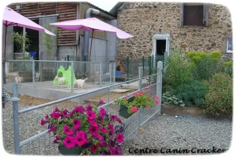 Pension Canine & Féline Crackers