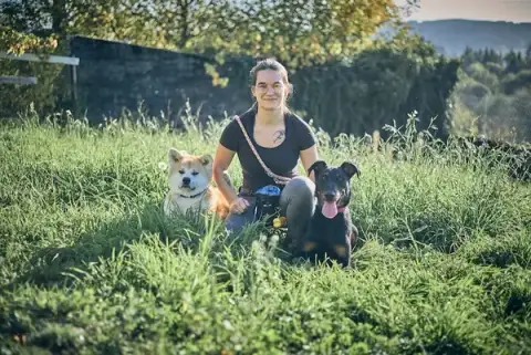 Chien des bois noirs