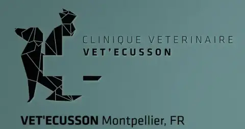 Clinique Veterinaire Vet'Ecusson
