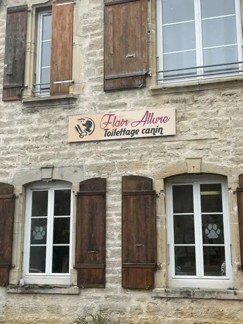 Toilettage Flair Allure Sancey 25430