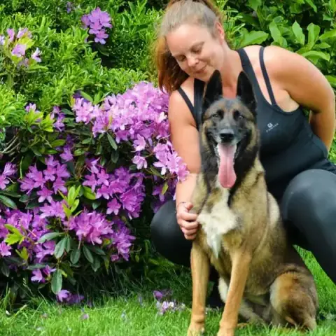 Éducateur canin RespectDogs Bernay