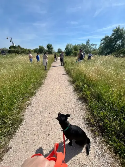 MH Education Canine - Éducateur comportementaliste canin à Toulon, Var et alentours