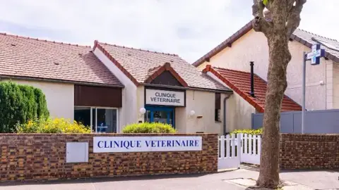 Veterinary Clinic Les Acacias
