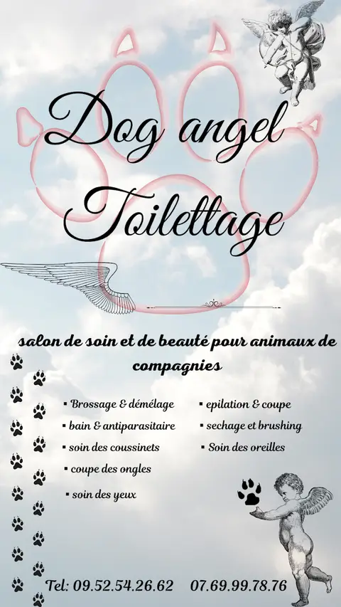 Dog angel Salon de Toilettage Chiens Chats