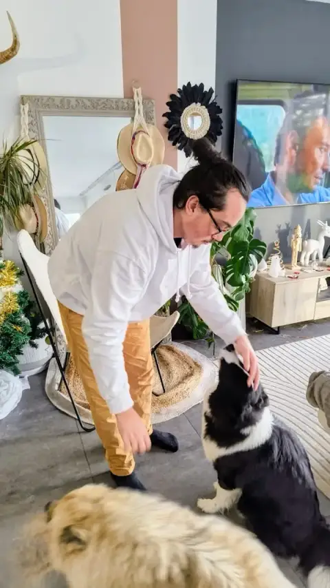 Gaëtan Service Animalier - Pet Sitter
