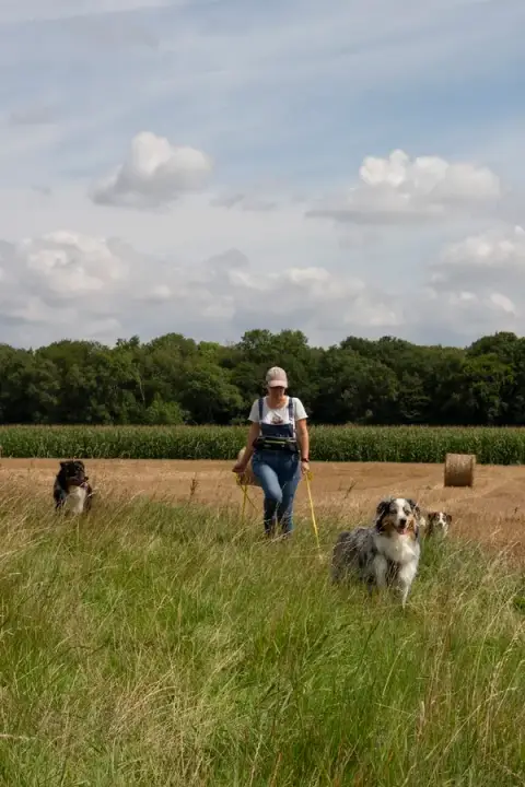 Pet-Sitter des Terres Blanches
