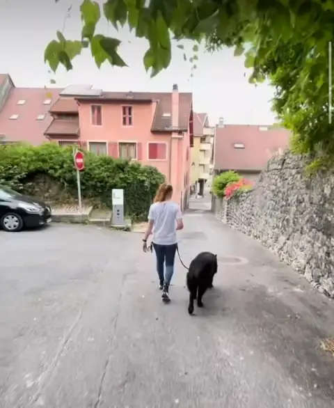 Les P'tites Biches - Education canine