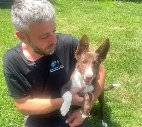 TDOG - Educateur Canin Grenoble et Comportementaliste