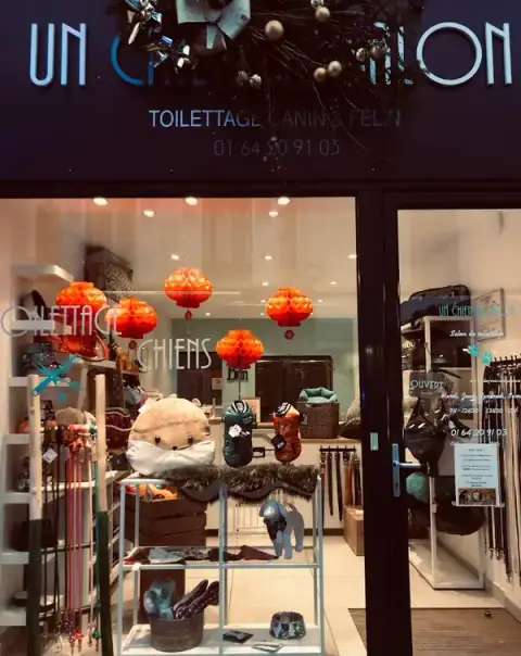 UN CHIEN AU SALON
