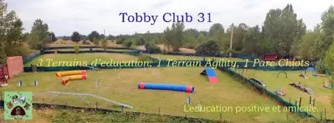 Tobby Club 31