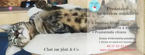 Chat me plaît & Co