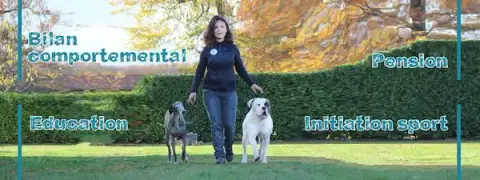 Louanges Canines - éducateur canin/comportementaliste -sports canin