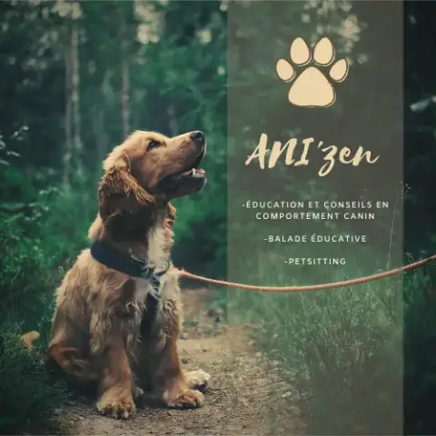 ANI'zen