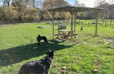 La Truffe Tranquille centre canin