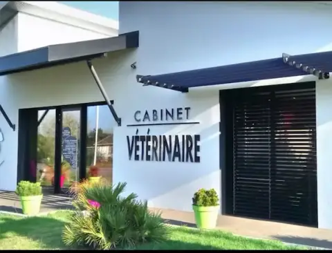 VETERINAIRE DOCTEUR CHRISTINE LEVASSEUR Biscarrosse