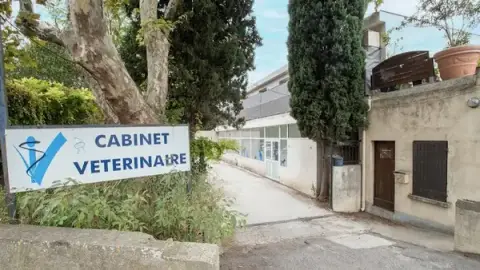 Cabinet vétérinaire de Saint Fructueux - Lunel - Sevetys