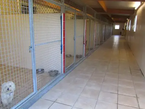 Kennel Du Lac