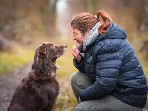 Os'Mose Canine - Dijon - Éducateur canin comportementaliste