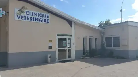 Clinique Vétérinaire Du Chien Assis