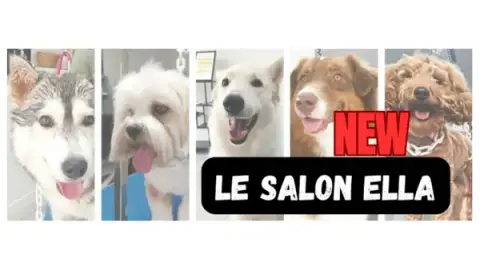Le Salon Ella - Toilettage canin