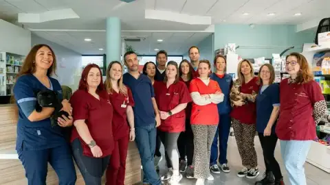 Clinique Vétérinaire Argos Lorient la Découverte