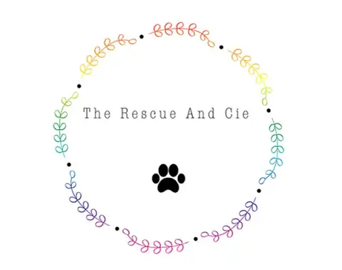 The Rescue And Cie