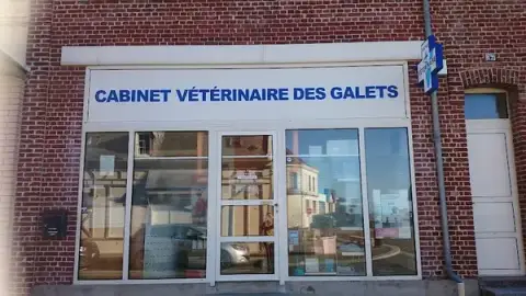 Cabinet Vétérinaire Cayeux sur mer, LES GALETS