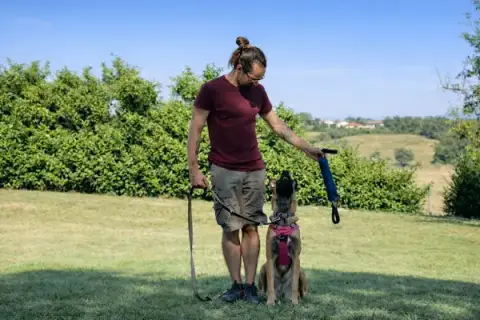 Octa Caninae Education canine