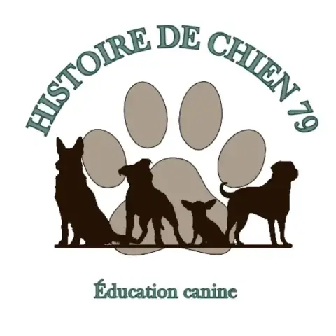 Histoire de chien 79