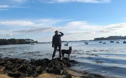Avenir Canin - Éducateur / Comportementaliste Canin
