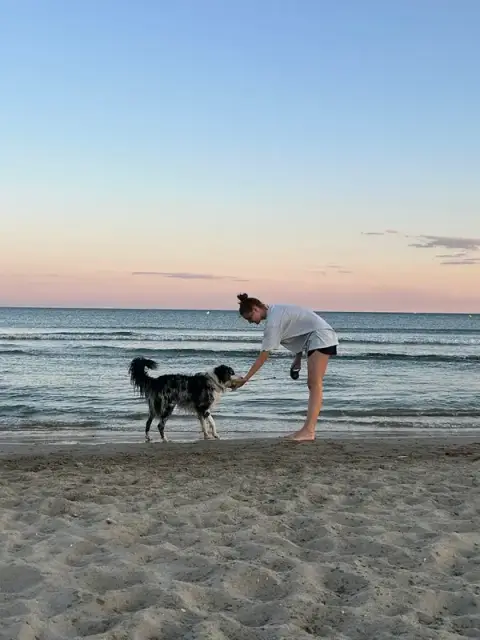Alhena petsitting