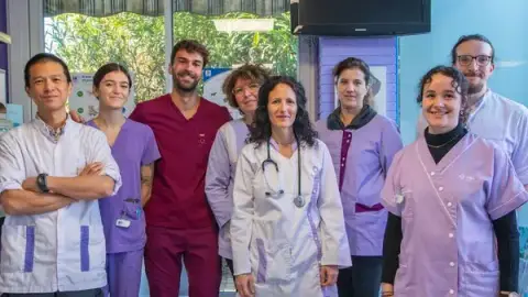 Veterinary Clinic Grand M