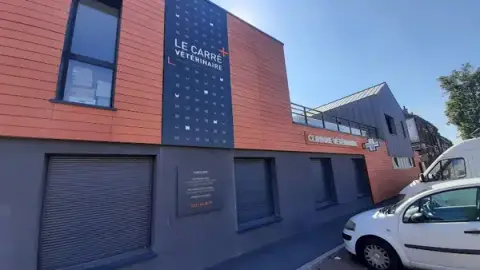 Le Carré Vétérinaire
