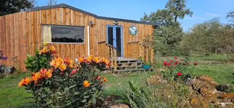 Le Chalet Des Pins - Pension Féline