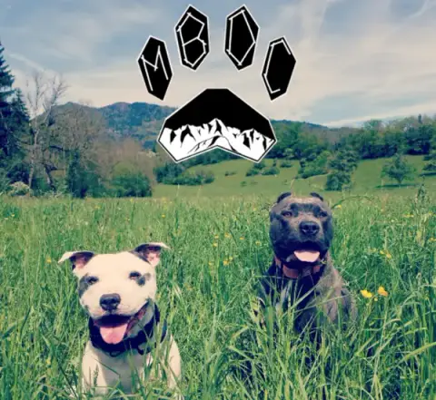 Mont Blanc Dog Center