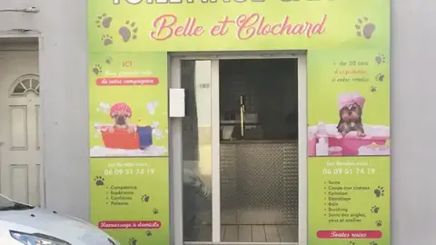 Belle Et Clochard