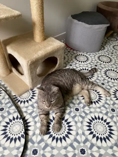 O'Calm