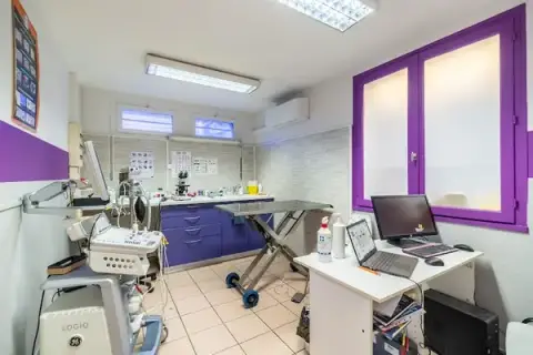 Clinique Vétérinaire Argos Limoges Val de l'Aurence