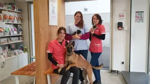 Clinique Vétérinaire Argos Nantes Cens