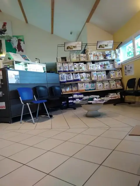 Clinique Vétérinaire de l’Ile Verte