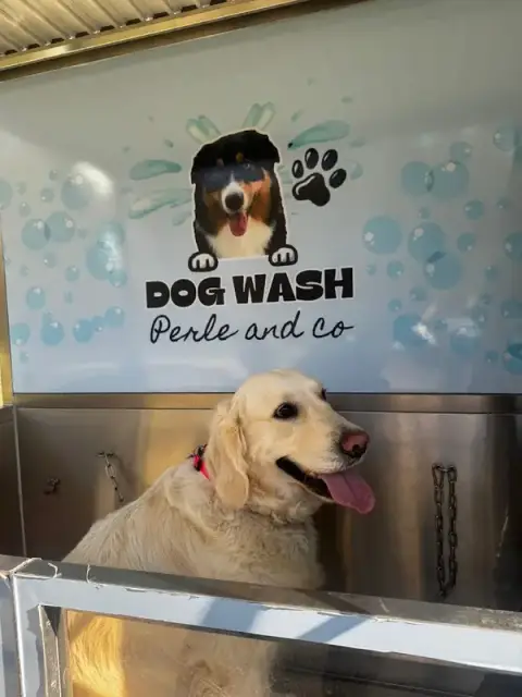 dog wash perle and co