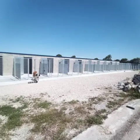 Itakueil Pension canine & féline