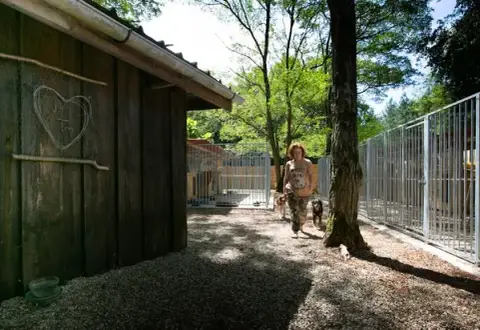 Pension Canine de Cameillac