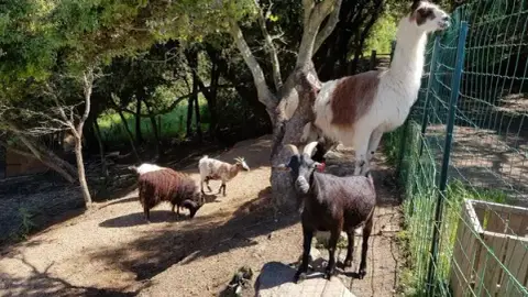 Parc animalier de Bottacina